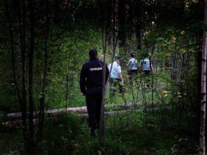 В Пласте сотрудники полиции и добровольцы нашли в лесу трех заблудившихся женщин